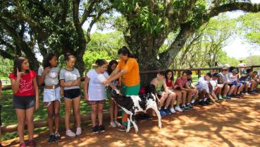 imagem de Escola Abimael - Votorantim