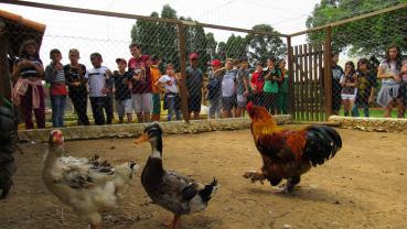 imagem de Escola Mateus Maylasky - Sorocaba