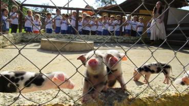 imagem de Creche Chiquinha Rodrigues -Turma Tarde - Tatuí