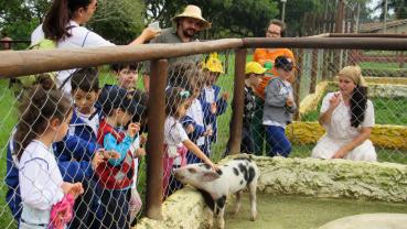 imagem de Escola Cultura da Infância - Sorocaba