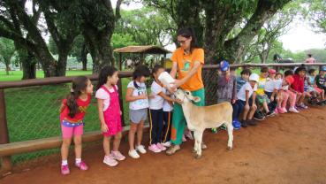 imagem de Cei 25 - Sorocaba