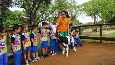 imagem de Colégio Victória - Sorocaba