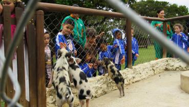 imagem de Creche Yolanda - Tatuí