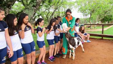 imagem de Colégio Educ - Rio Claro