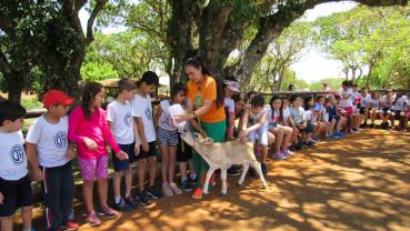 imagem de Escola Quinzinho - 2º Turma - Laranjal Paulista